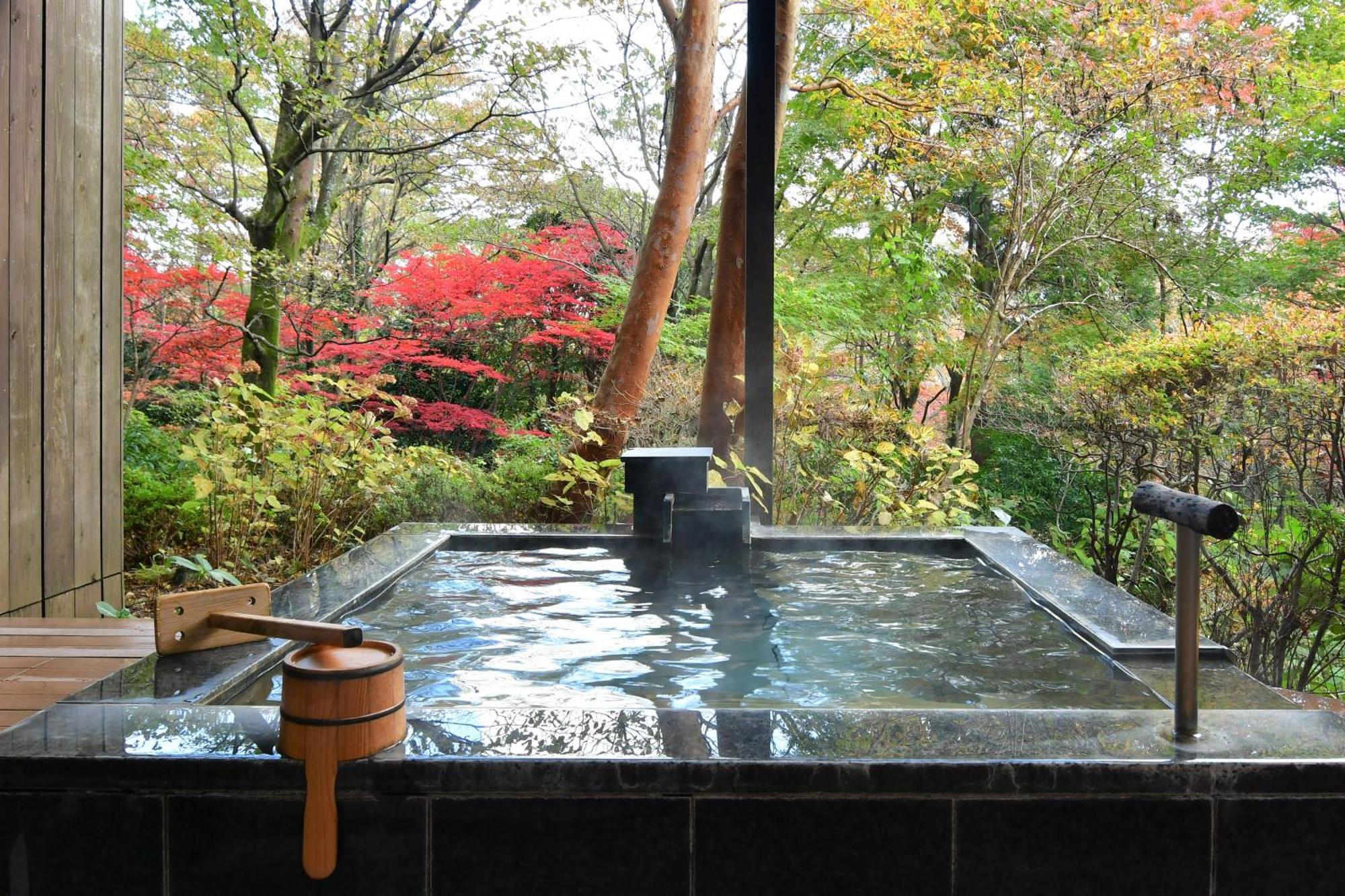 Hotel Hakone Gora Byakudan Zewnętrze zdjęcie